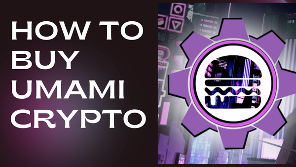 How to buy Umami Finance (UMAMI) Crypto Token